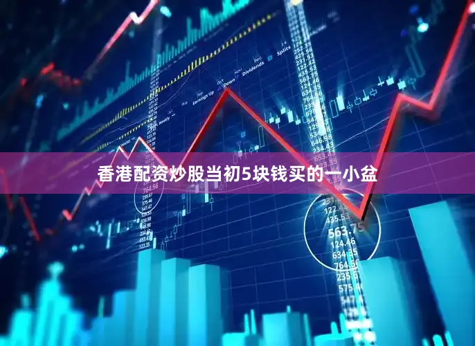 香港配资炒股当初5块钱买的一小盆