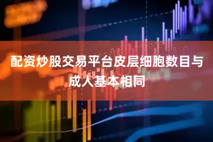 配资炒股交易平台皮层细胞数目与成人基本相同