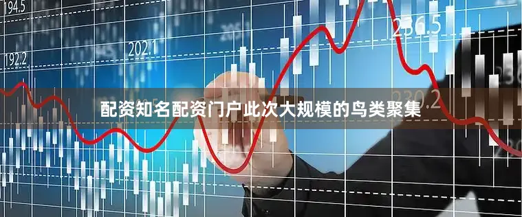 配资知名配资门户此次大规模的鸟类聚集